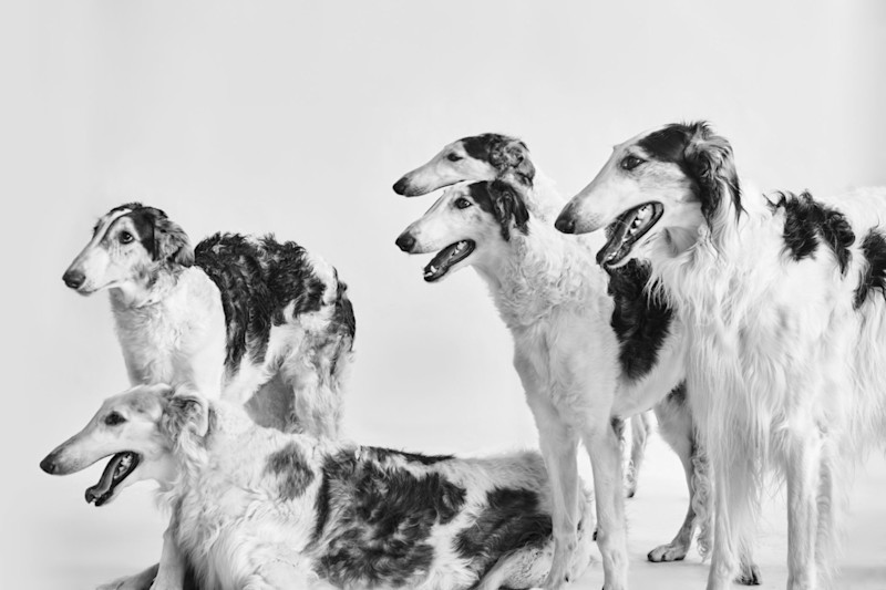 Capsule Collection - 20