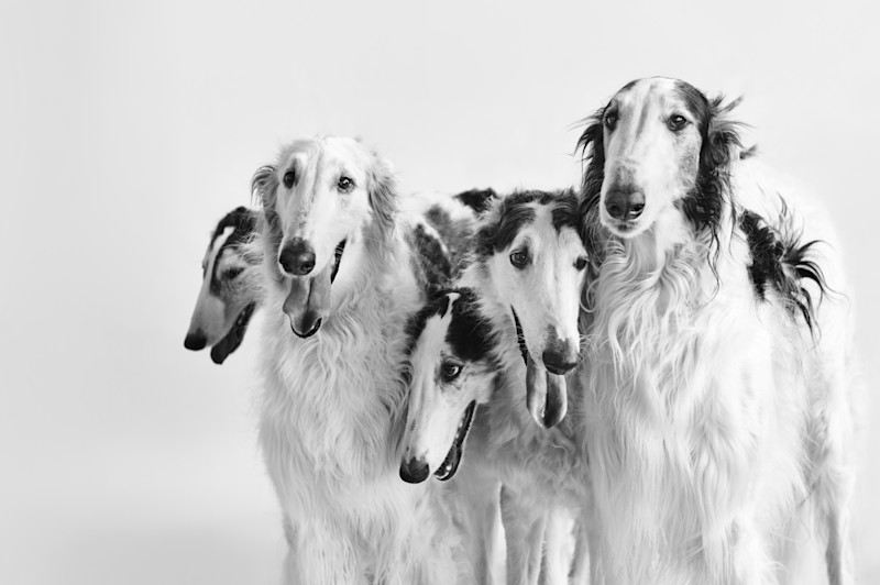 Capsule Collection - 17