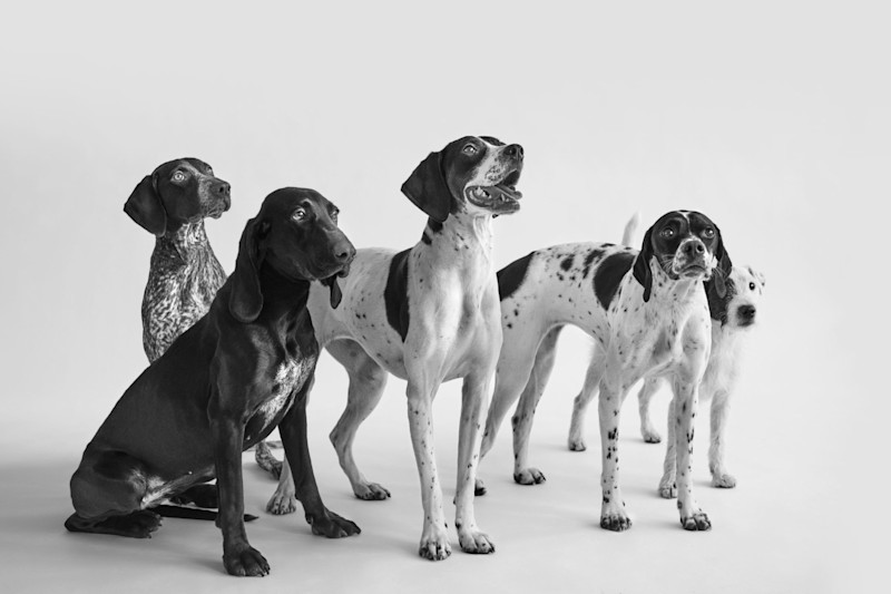 Capsule Collection - 6