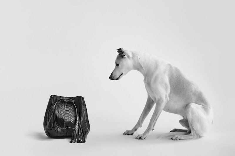 Capsule Collection - 21