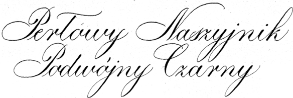 Perłowy Naszyjnik Podwójny Czarny