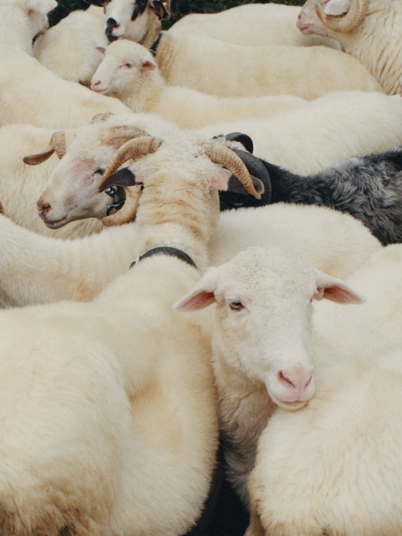 Fall Winter 2023 - 4