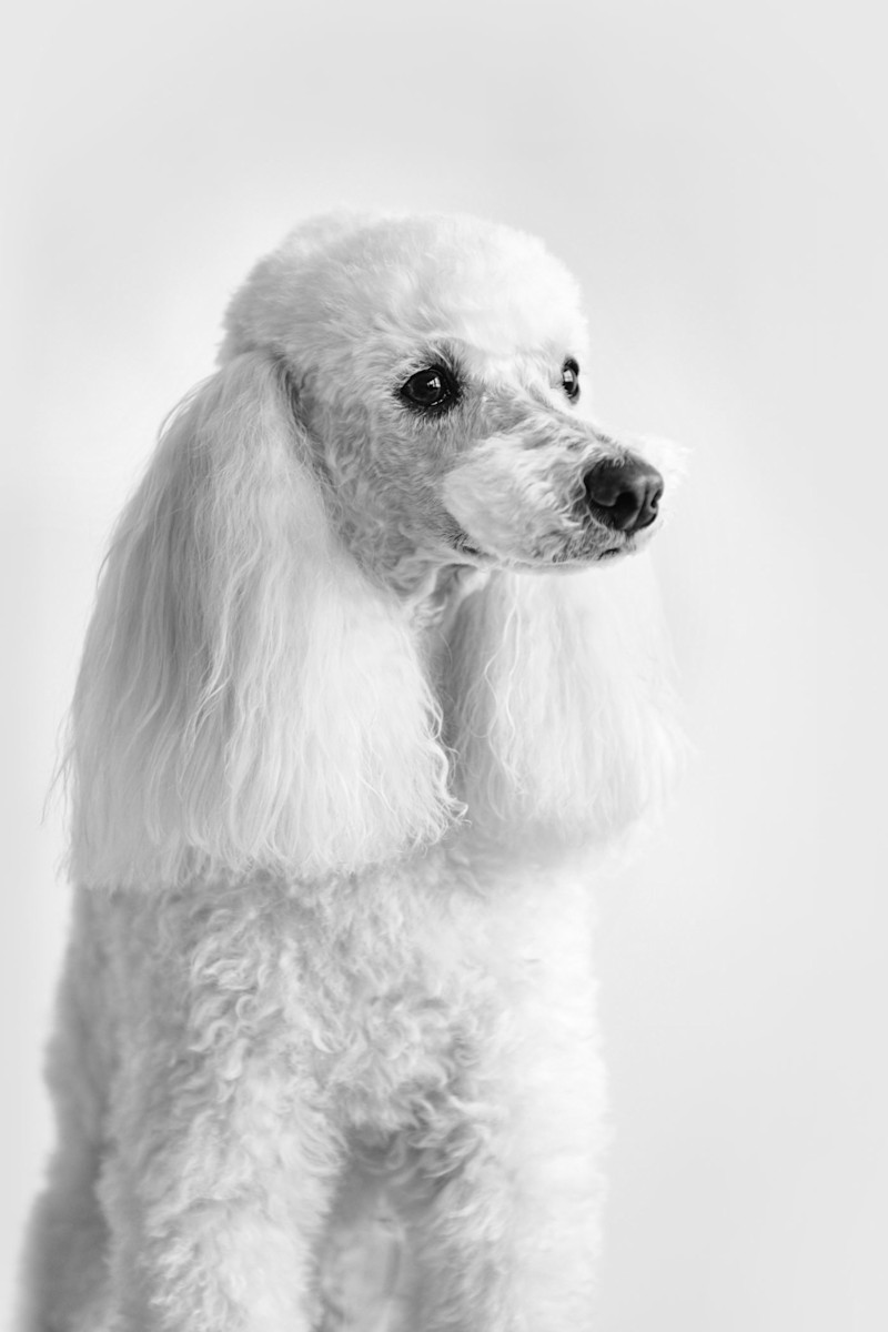 Capsule Collection - 10