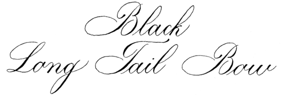 Black Long Tail Bow