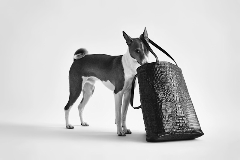 Capsule Collection - 7