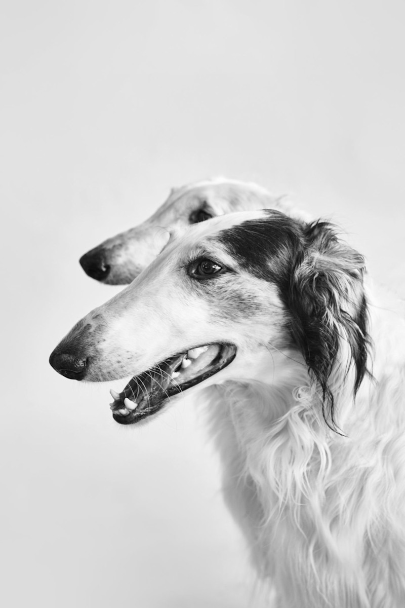 Capsule Collection - 15