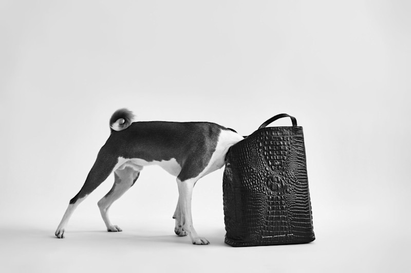 Capsule Collection - 13