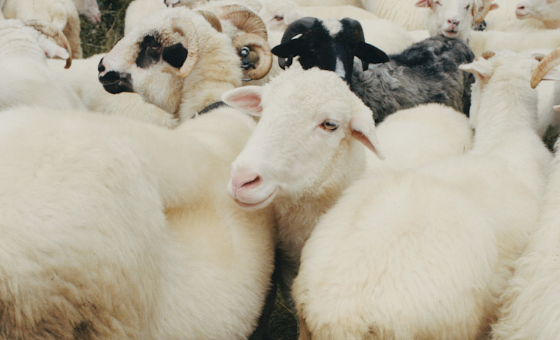 Fall Winter 2023 - 17