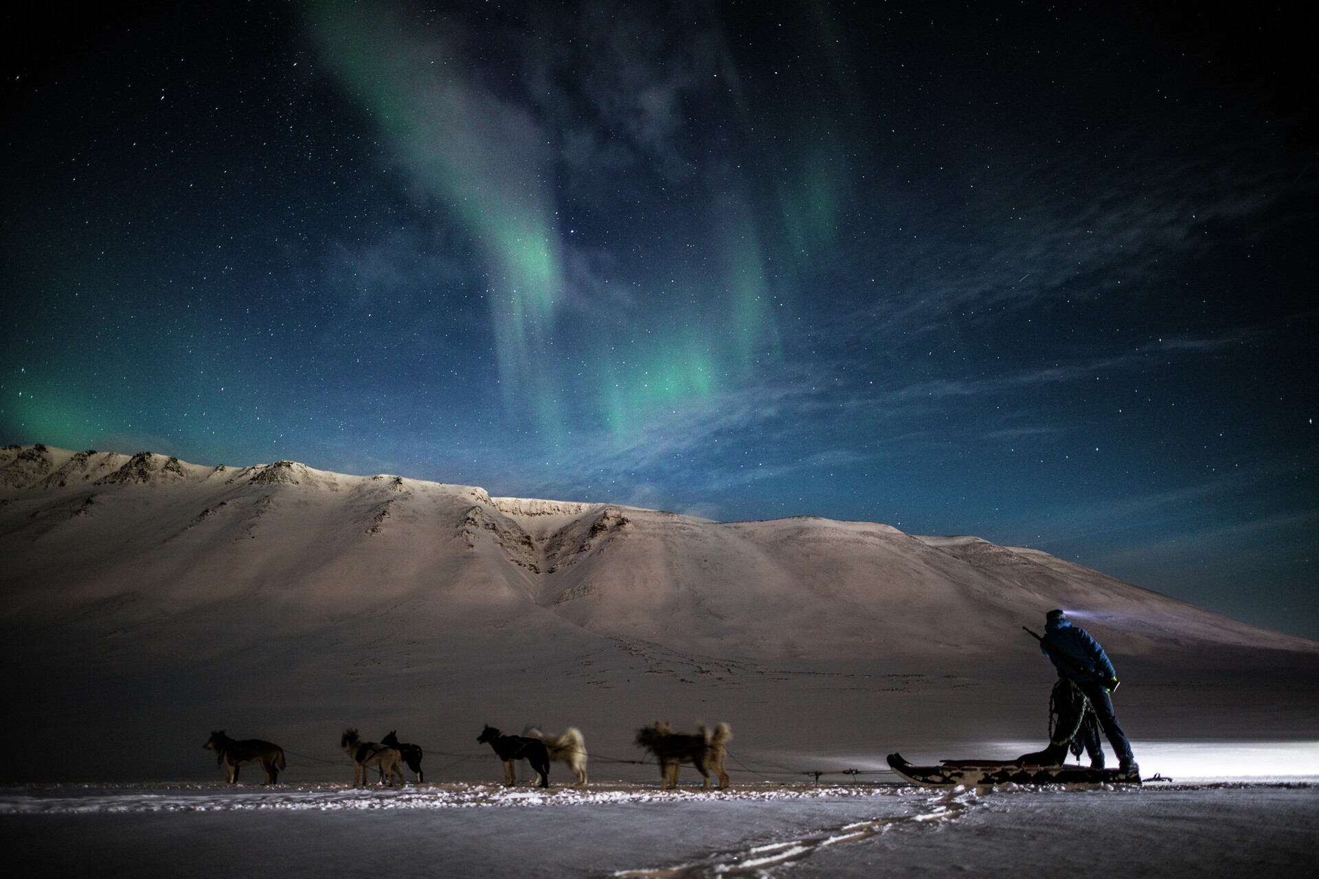 Northern-lights-and-polar-dogs-HGS-05160