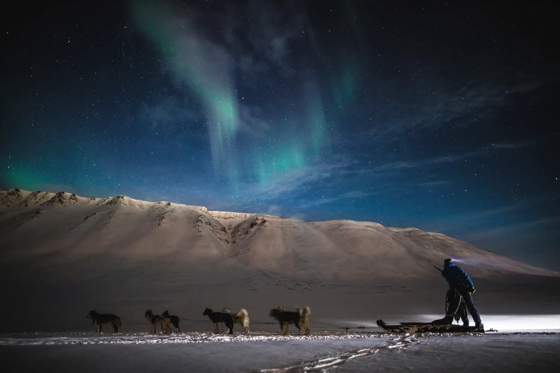 Northern-lights-and-polar-dogs-HGS-05160