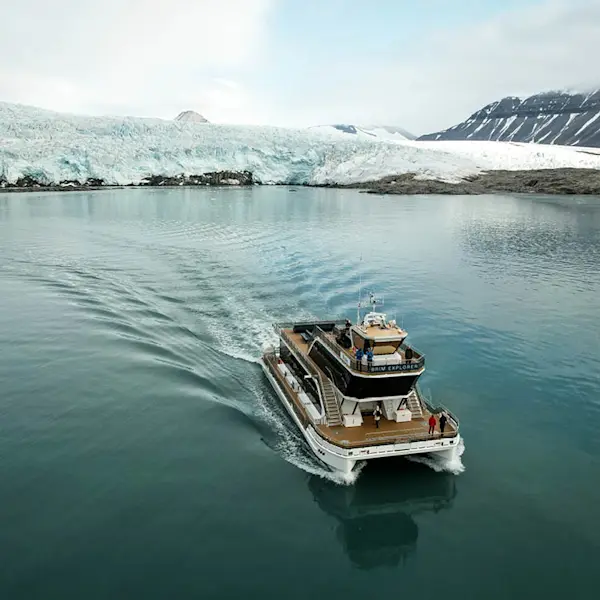Wildlife Glacier Cruise MS Bard - Photo Thomas Griesbeck 750x750