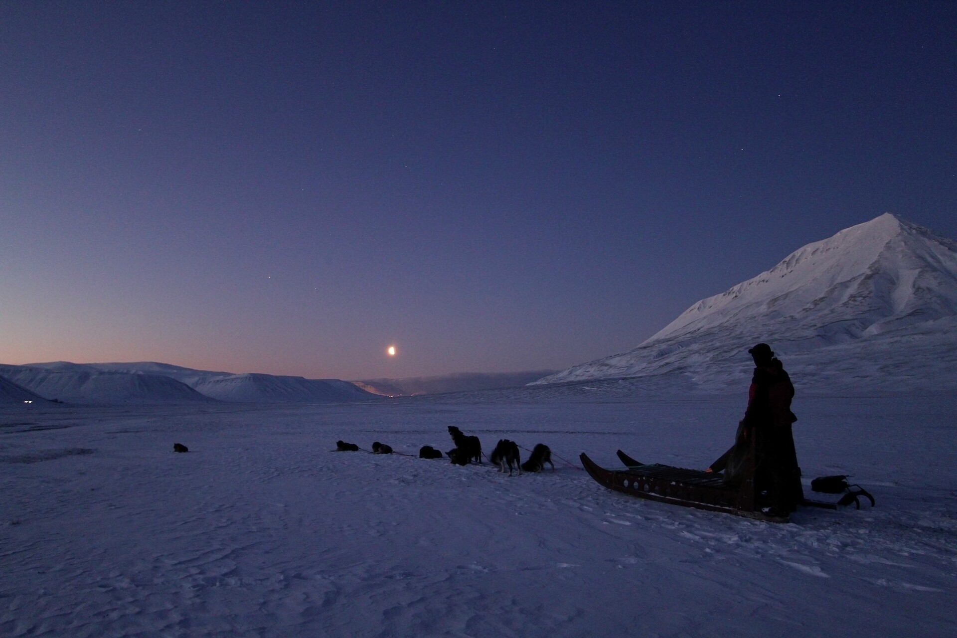 Dog-sledding-HGS-03252