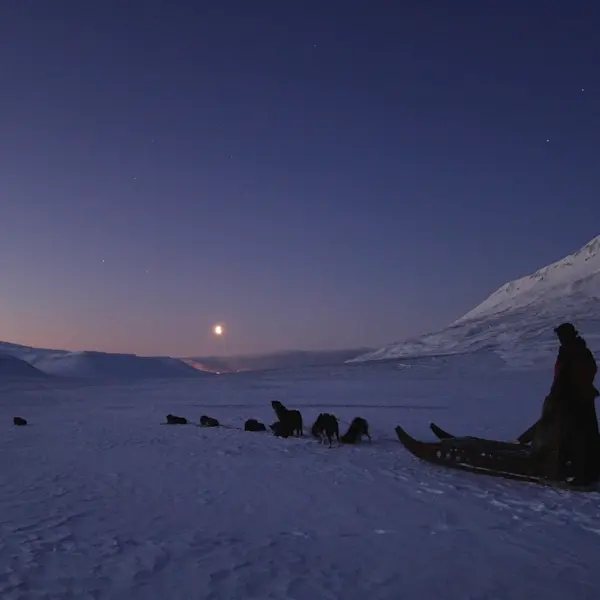 Dog-sledding-HGS-03252