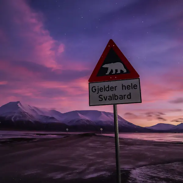 Polar Night_Light shifting_Photo Eveline Lunde