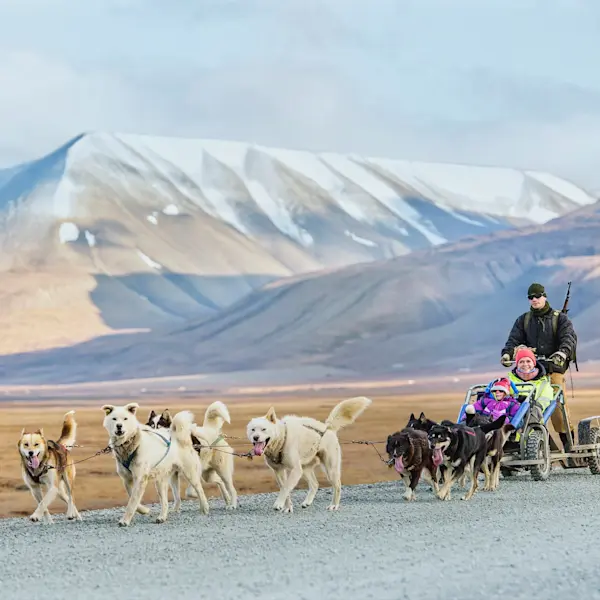 Hundesledetur - HGR - Foto Agurtxane Concellon