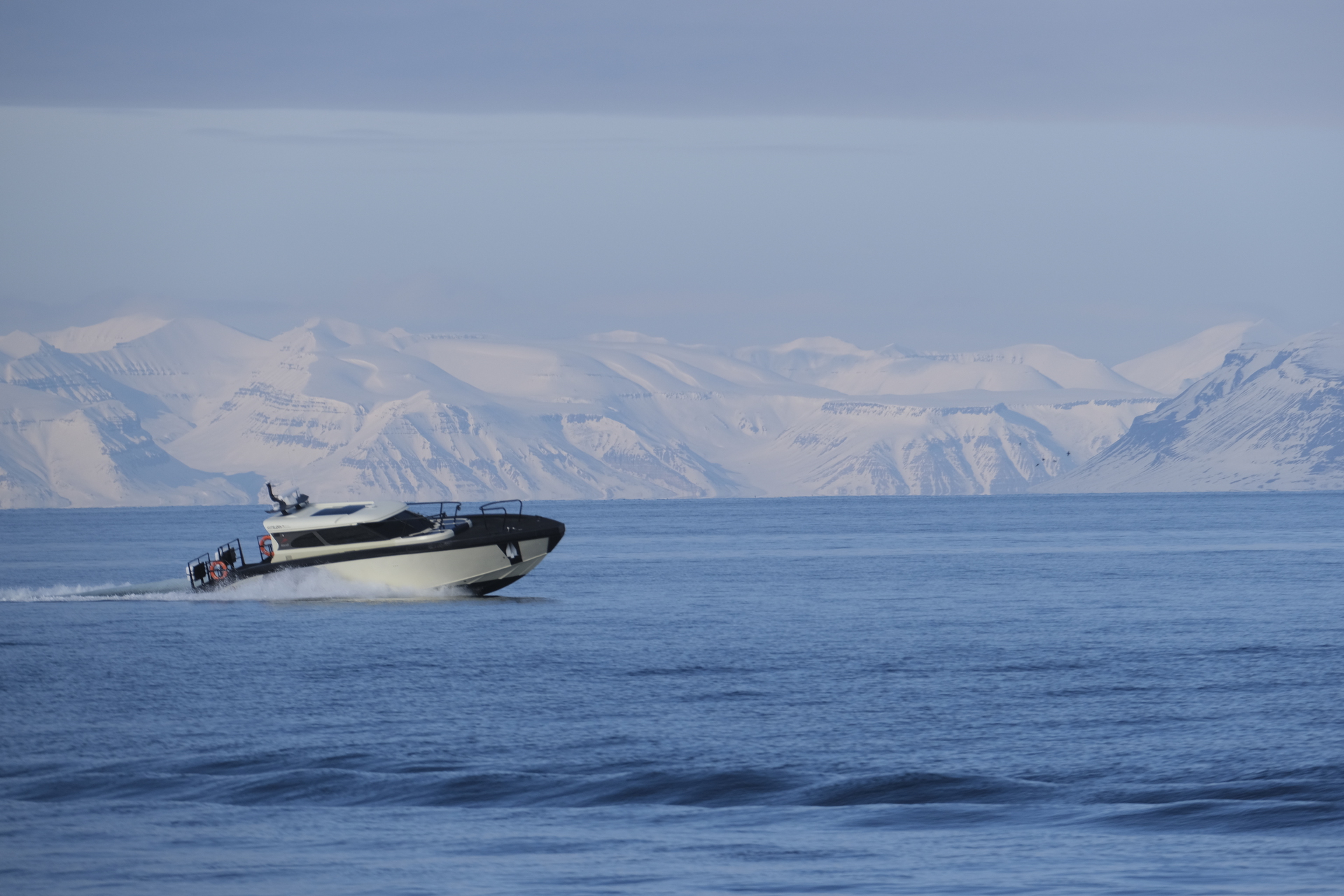 Kvitbjorn HGR 168935 Photo Cato Salter