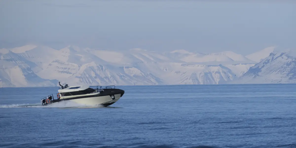 Kvitbjorn HGR 168935 Photo Cato Salter