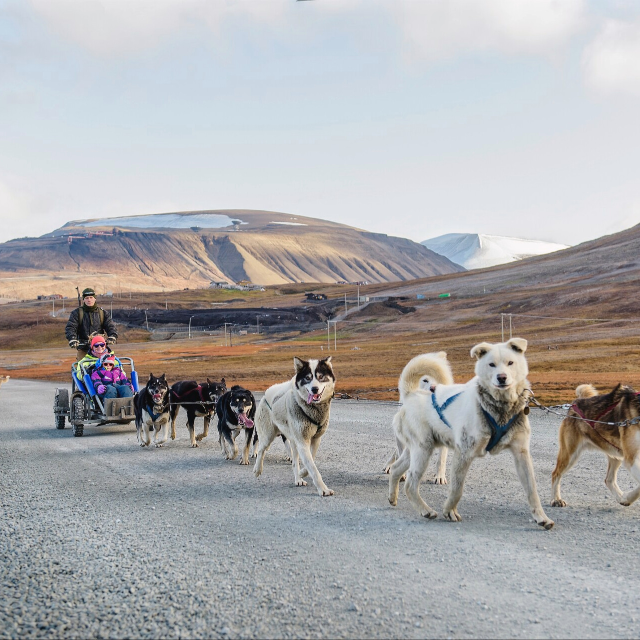 Dog-sledding-HGR-120023 1920-+Photo Agurtxane Concellon(1)
