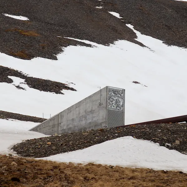 The global seed vault in Svalbard