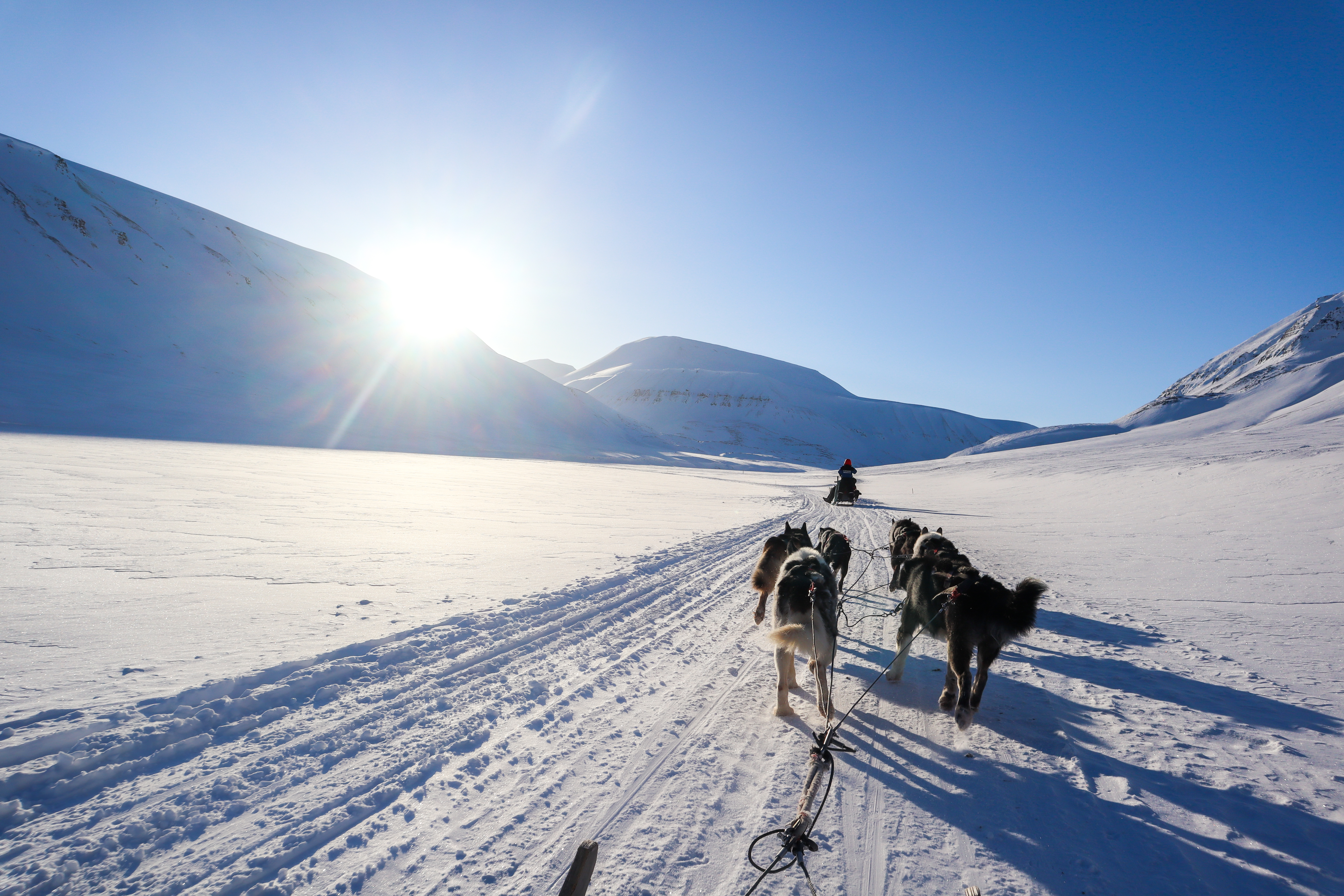 Dogsledding in Bolterdalen HGR 162051 Photo Eveline Lunde