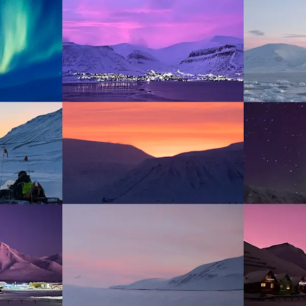 February collage_Hurtigruten Svalbard