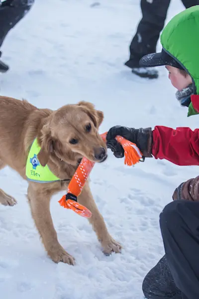 Avalanche training_Hurtigruten Svalbard_Photo Michelle Brenden
