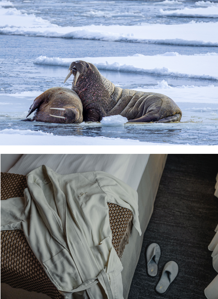 Meetings & Incentives on Svalbard | Incentive