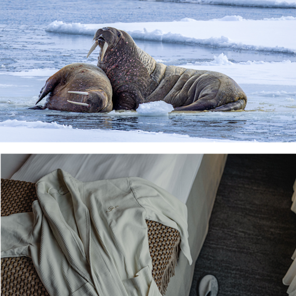 Meetings & Incentives on Svalbard | Incentive