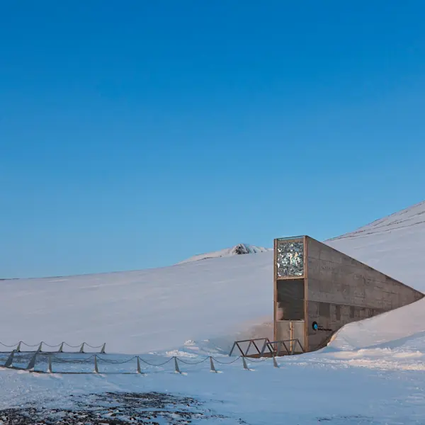 Seed vault - HGS 03300 1920 - Photo Hanne Feyling / Hurtigruten Svalbard