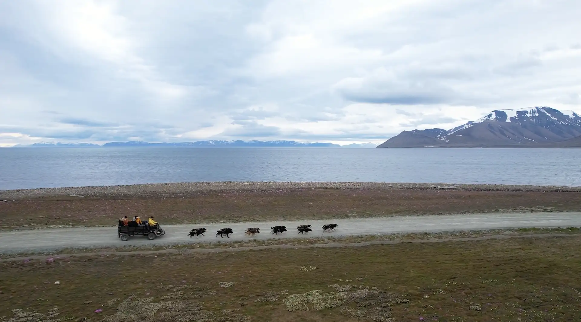 2 Dog-And-The-Ocean Credit GreenDogSvalbard