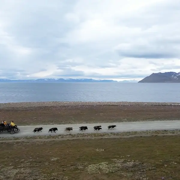 2 Dog-And-The-Ocean Credit GreenDogSvalbard