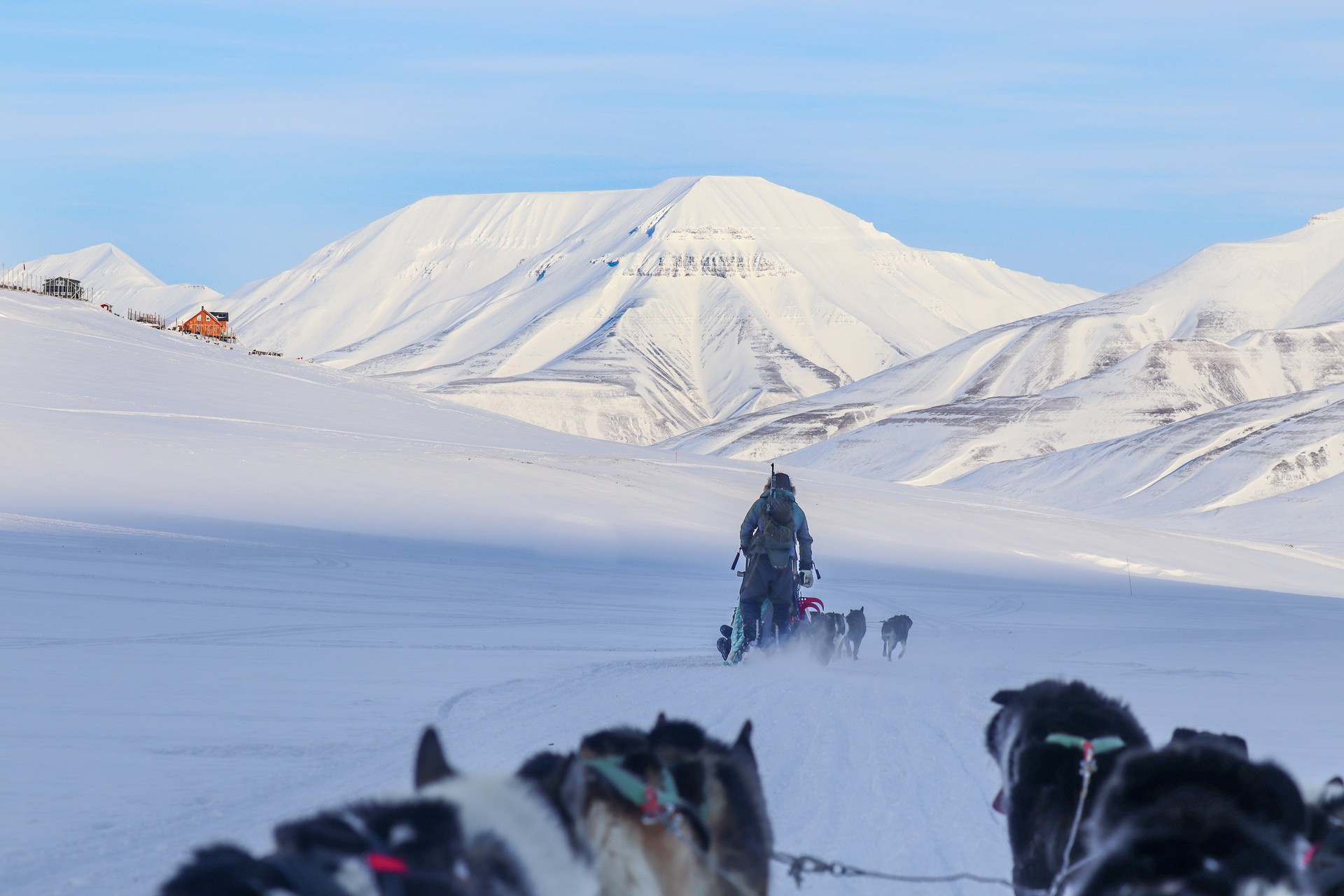 Dogsledding in Bolterdalen HGR 162077 Photo Eveline Lunde