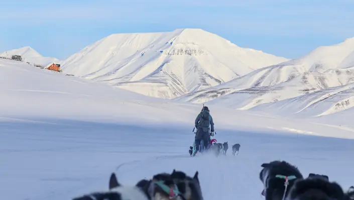 Dogsledding in Bolterdalen HGR 162077 Photo Eveline Lunde