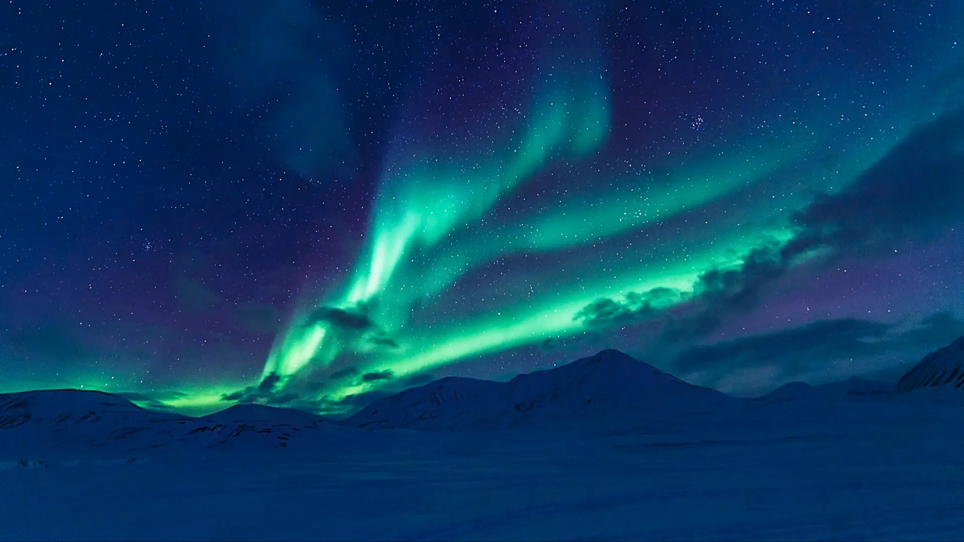 Northern light(1)