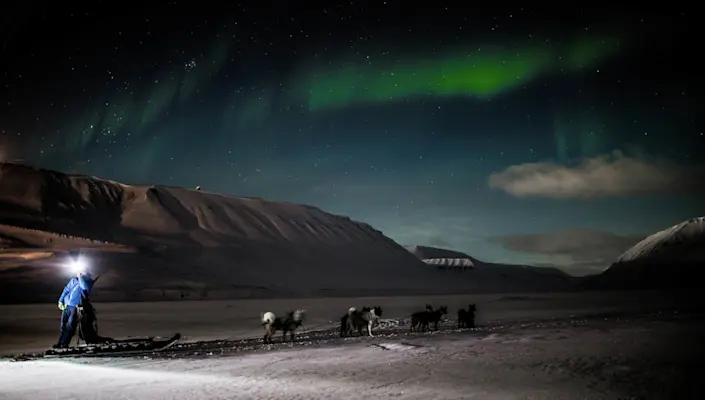 Sled dogs in polar night on Svalbard - Photo Green Dog 1600x900
