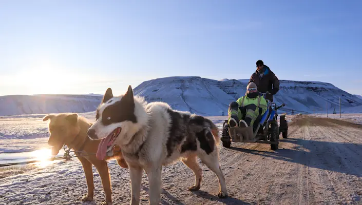 Dog sledding on wheels HGR 164827 Photo Eveline Lunde