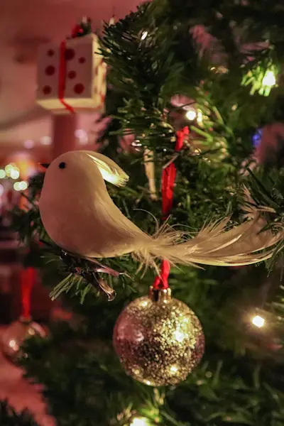 Christmas_Hurtigruten Svalbard