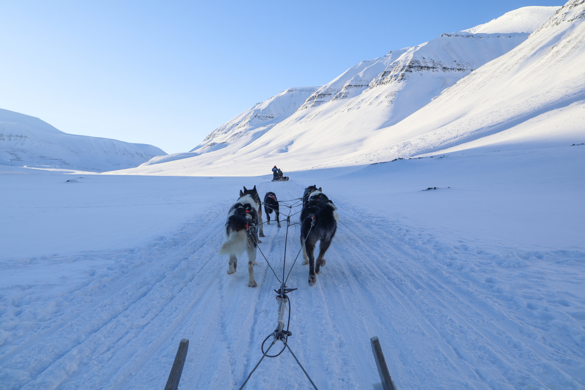 Dogsledding through the snow during Sunny Winter in Svalbard. Photo Credit: Eveline Lunde / Hurtigruten Svalbard