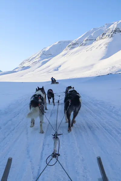 Dogsledding through the snow during Sunny Winter in Svalbard. Photo Credit: Eveline Lunde / Hurtigruten Svalbard