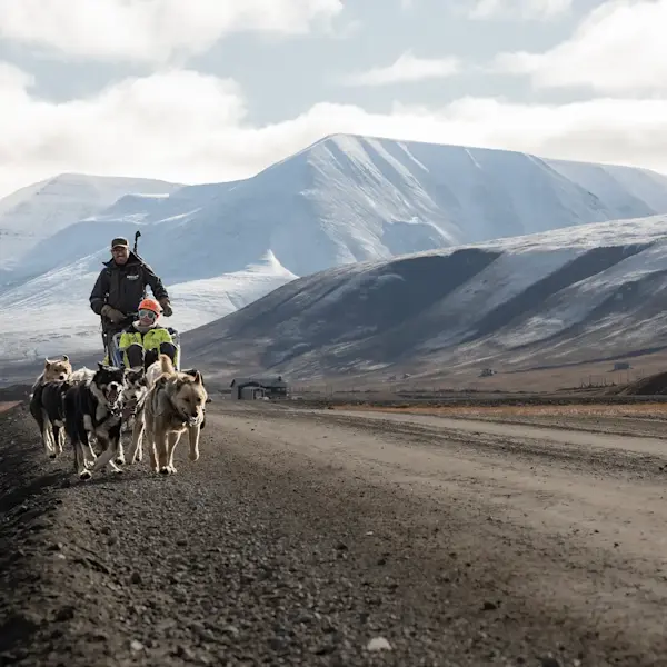 5 Dogsledding-on-wheels Credit GreenDogSvalbard
