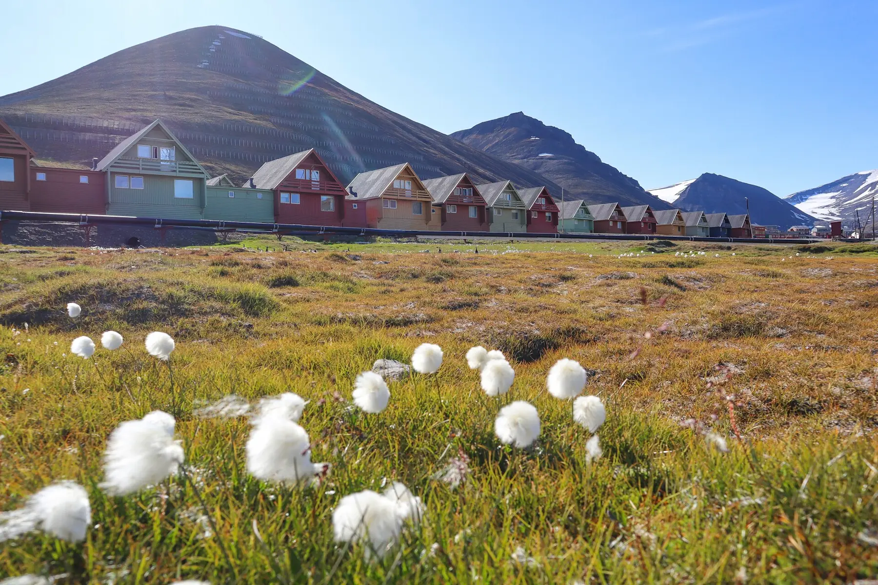 Spisshus Polar summer - Hurtigruten Svalbard - Photo Eveline Lunde