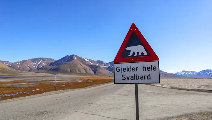 Polar bear sign Polar summer HGR 163205 Photo Eveline Lunde