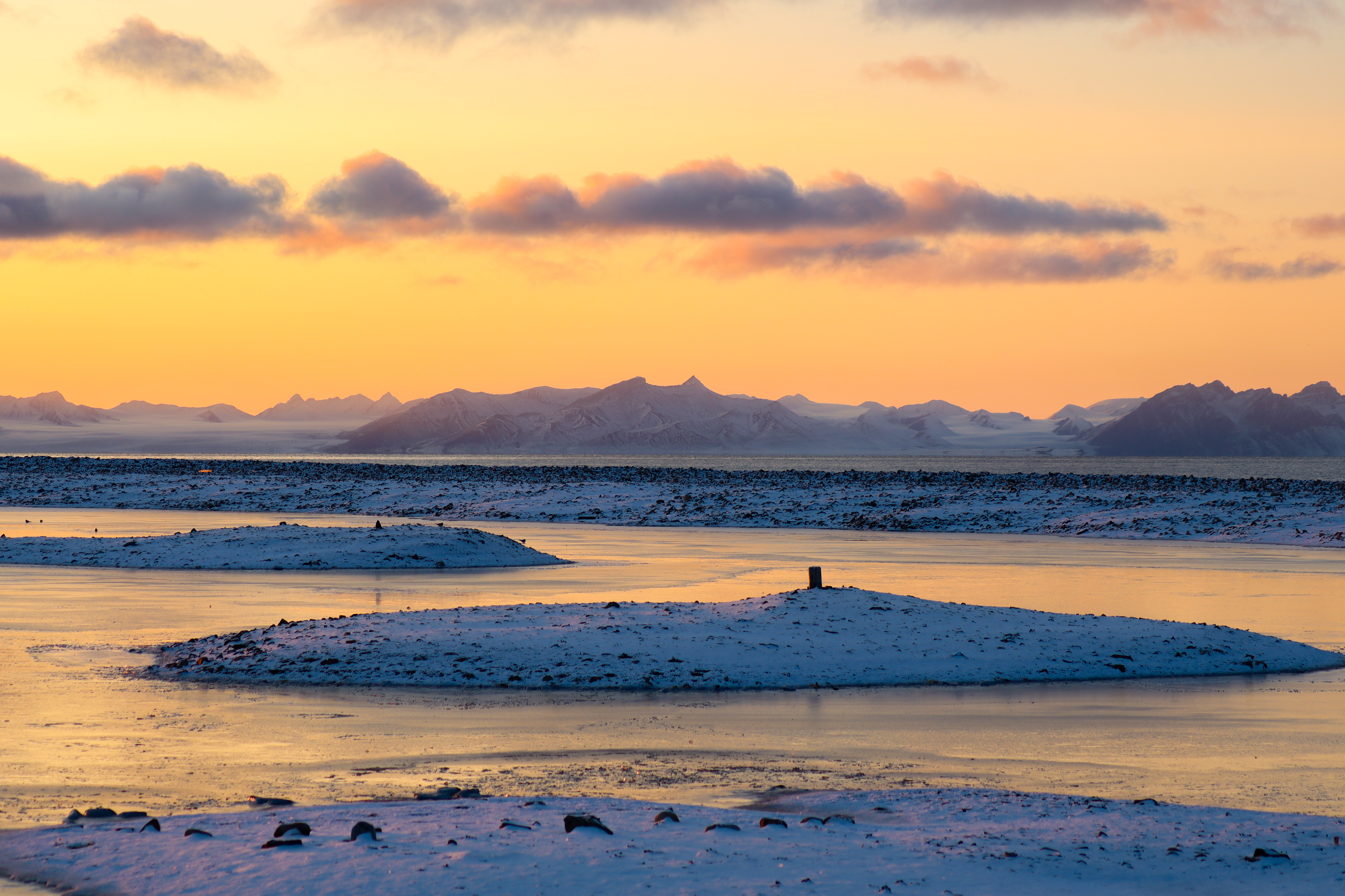 Golden Autumn HGR 164724 Photo Eveline Lunde