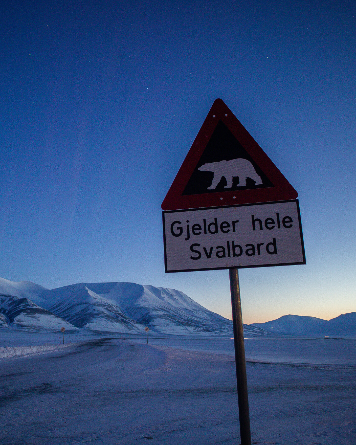 Polar_Bear_Sign_Longyearbyen_PolarNight