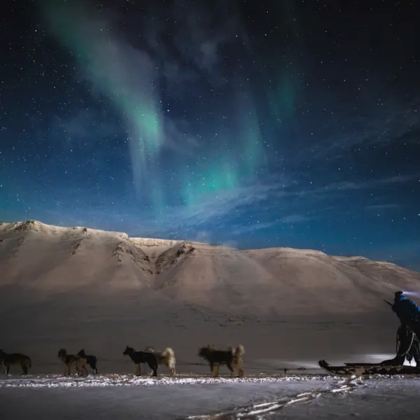 Northern lights and polar dogs HGS 05160 1920