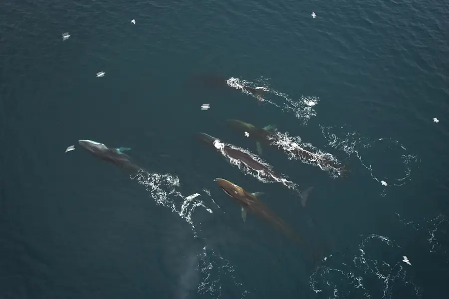 HRS-Photo-Thomas-Griesbeck-10--29614003-Photo Thomas Griesbeck