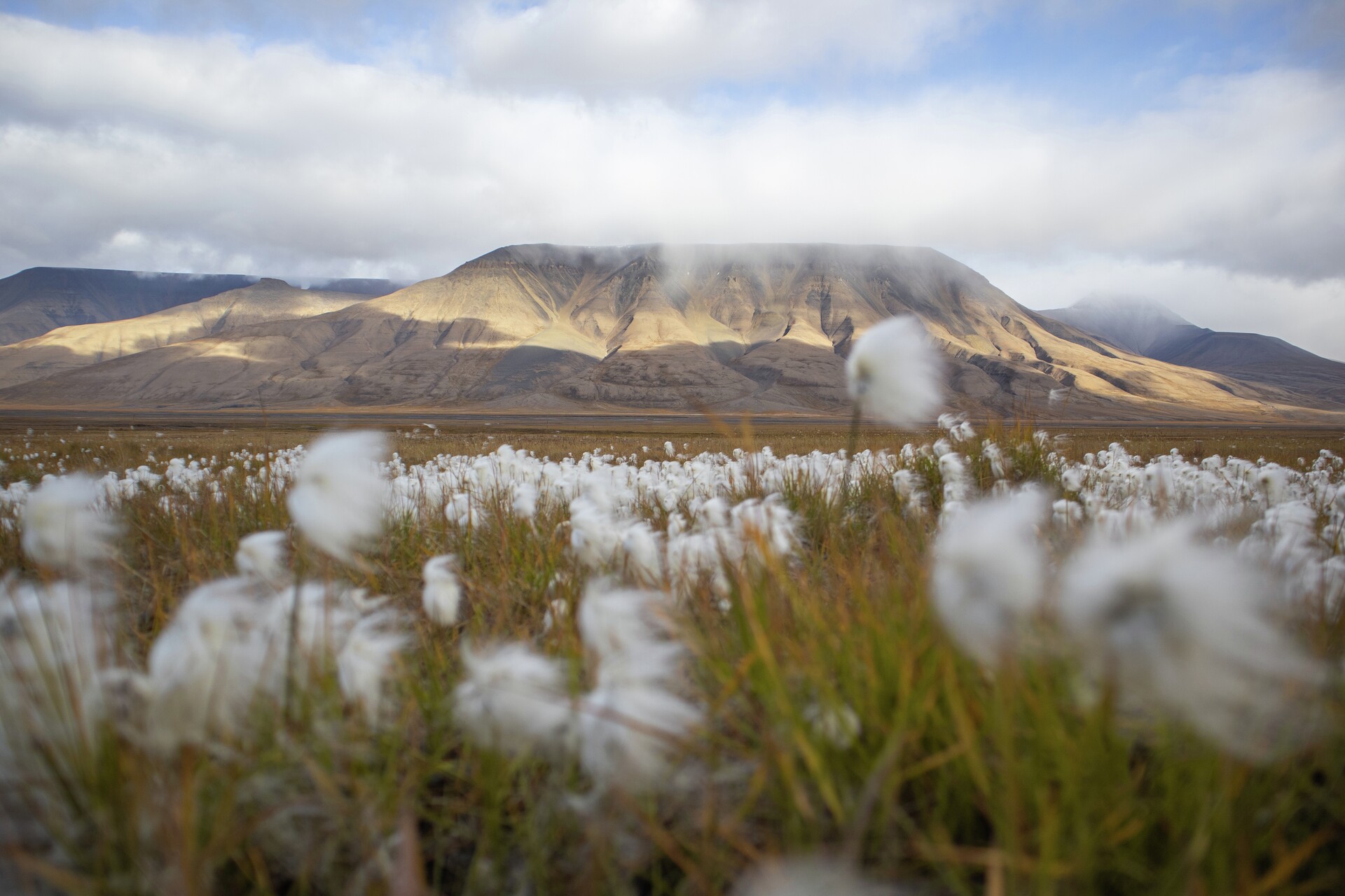 Hurtigruten Svalbard - Golden Autumn HGR 164711 - Foto Eveline Lunde