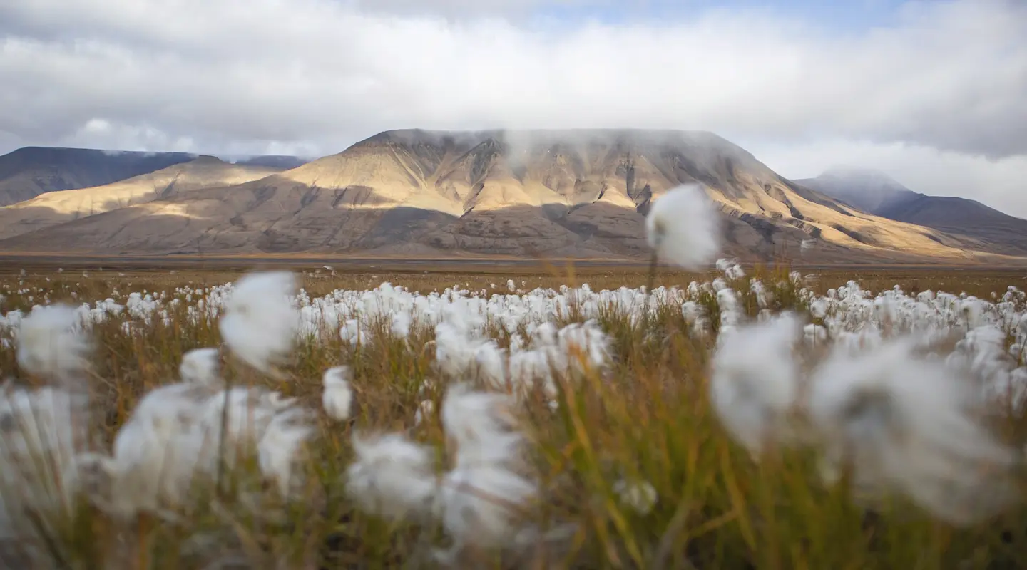 Hurtigruten Svalbard - Golden Autumn HGR 164711 - Foto Eveline Lunde