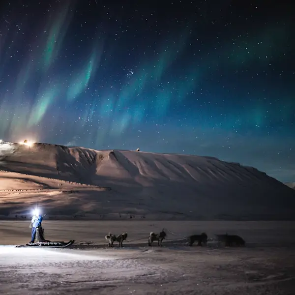 Dog sledding under the northern lights - Hurtigruten Svalbard - Photo Green Dog