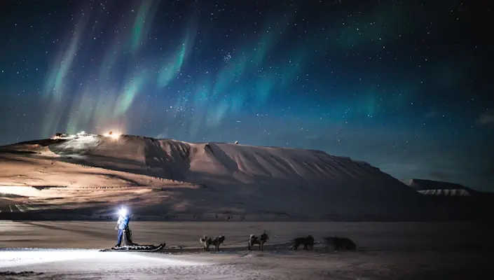 Dog sledding under the northern lights - Hurtigruten Svalbard - Photo Green Dog